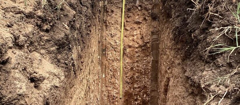 Учёные Крымского федерального университета имен...