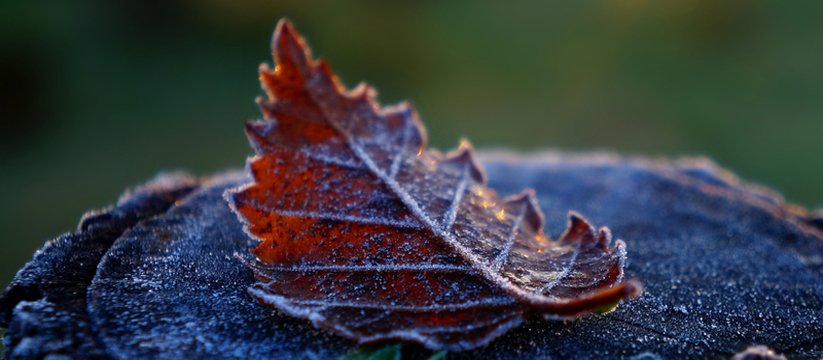С наступлением выходных в Крыму прогнозируется ...