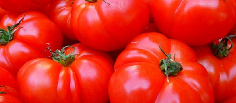 В июле помидоры активно растут и формируют плоды. Чтобы помочь им развиваться правильно, важно обеспечить их необходимыми питательными веществами.