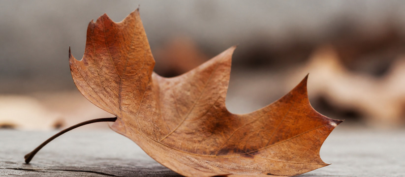 В Крыму из-за жары и ветра действуют три экстре...