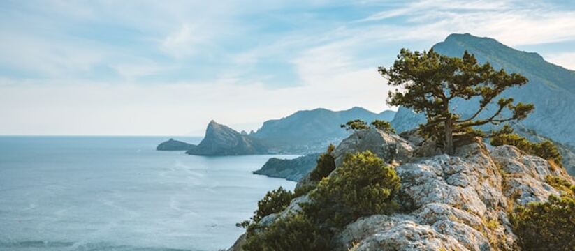 В Республике Крым началось онлайн-голосование, ...