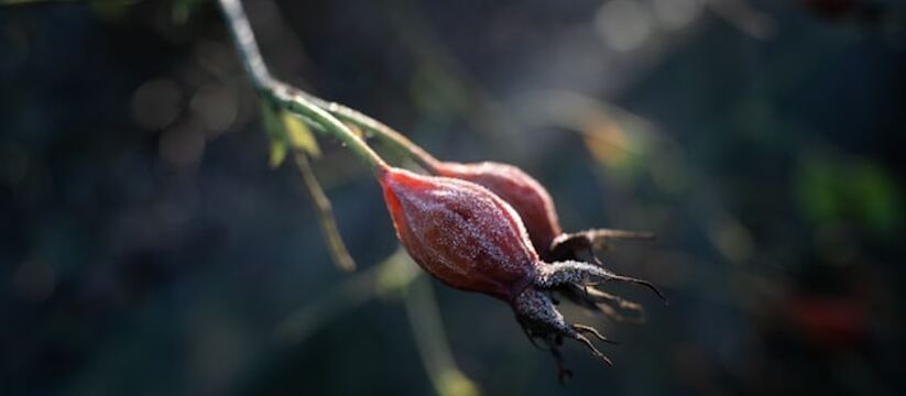 В Республике Крым введено экстренное предупрежд...