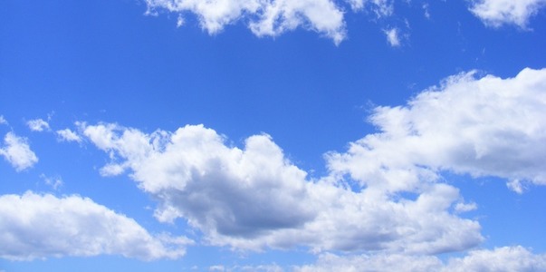 В Крыму реализуют грант на развитие беспилотной...