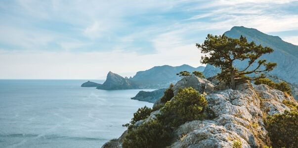 В Крыму разъяснили правила изъятия участков за ...