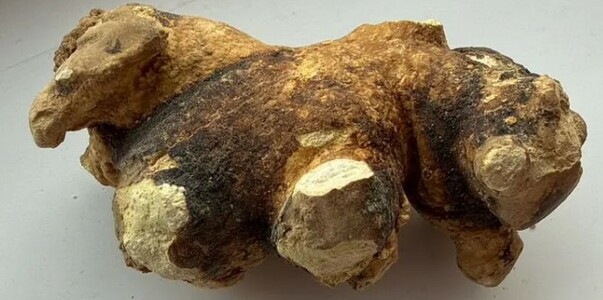 В Симферополе продают почечный камень за 300 ты...