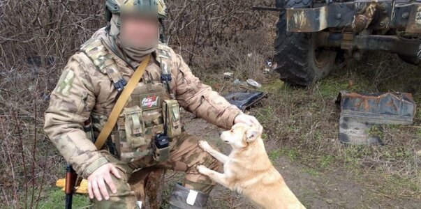 С бойцами из Крыма на дежурства ходит собака, п...