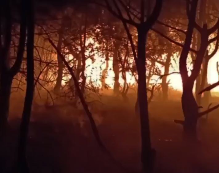  В горах около Феодосии тушили лесной пожар 