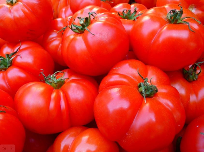  Стоит копейки: это надо давать помидорам в июле для богатого урожай 