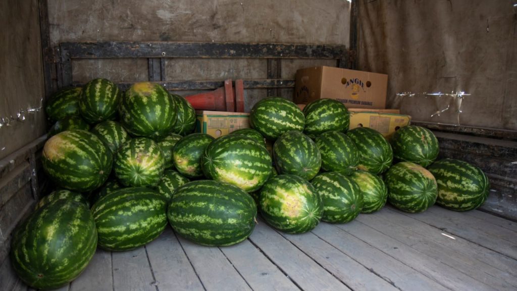  В Симферополе изъяли у стихийных торговцев 2 тонны арбузов и дынь 