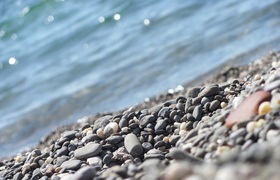 Крещенские купания на набережной Ялты собрали с...