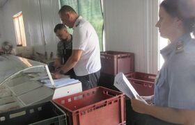 На ярмарке в Черноморском изъяли сотни килограм...