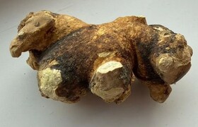 В Симферополе продают почечный камень за 300 ты...