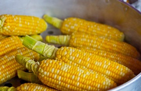 Аграрии Крыма столкнулись с двукратным падением...