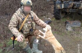 С бойцами из Крыма на дежурства ходит собака, п...